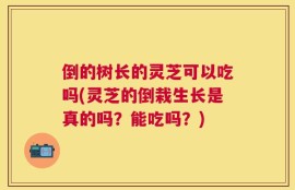 倒的树长的灵芝可以吃吗(灵芝的倒栽生长是真的吗？能吃吗？)