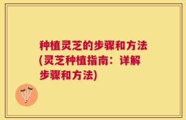 种植灵芝的步骤和方法(灵芝种植指南：详解步骤和方法)