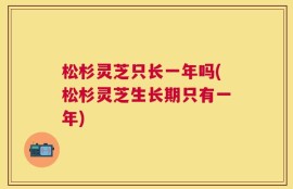 松杉灵芝只长一年吗(松杉灵芝生长期只有一年)