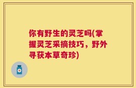 你有野生的灵芝吗(掌握灵芝采摘技巧，野外寻获本草奇珍)