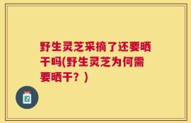 野生灵芝采摘了还要晒干吗(野生灵芝为何需要晒干？)
