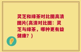 灵芝和绿茶对比图高清图片(高清对比图：灵芝与绿茶，哪种更有益健康？)