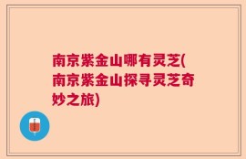 南京紫金山哪有灵芝(南京紫金山探寻灵芝奇妙之旅)