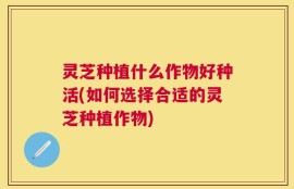 灵芝种植什么作物好种活(如何选择合适的灵芝种植作物)