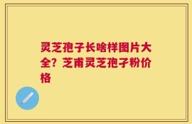 灵芝孢子长啥样图片大全？芝甫灵芝孢孑粉价格