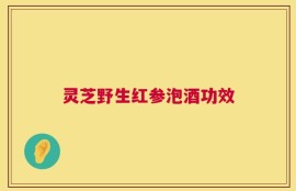 灵芝野生红参泡酒功效