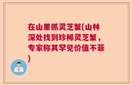 在山里抓灵芝蟹(山林深处找到珍稀灵芝蟹，专家称其罕见价值不菲)
