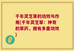 千年灵芝草的功效与作用(千年灵芝草：神奇的草药，拥有多重功效)