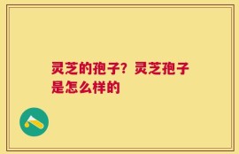 灵芝的孢子？灵芝孢子是怎么样的
