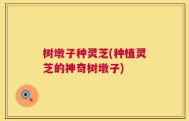 树墩子种灵芝(种植灵芝的神奇树墩子)