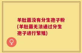 羊肚菌没有分生孢子粉(羊肚菌无法通过分生孢子进行繁殖)