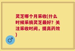 灵芝哪个月采收(什么时候采摘灵芝最好？关注采收时间，提高药效)