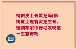 柳树皮上长灵芝吗(柳树皮上现有灵芝生长，植物学家惊讶地发现这一生态奇观