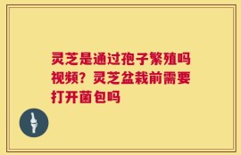 灵芝是通过孢子繁殖吗视频？灵芝盆栽前需要打开菌包吗