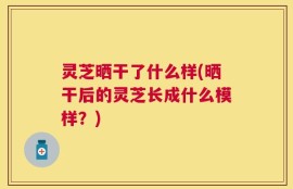 灵芝晒干了什么样(晒干后的灵芝长成什么模样？)