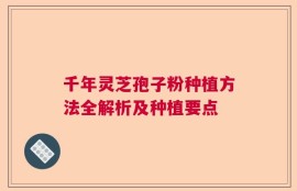 千年灵芝孢子粉种植方法全解析及种植要点
