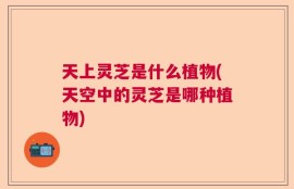天上灵芝是什么植物(天空中的灵芝是哪种植物)