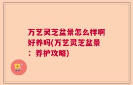 万艺灵芝盆景怎么样啊好养吗(万艺灵芝盆景：养护攻略)