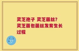 灵芝孢子 灵芝菌丝？灵芝菌包菌丝发育生长过程