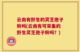 云南有野生的灵芝孢子粉吗(云南有可采集的野生灵芝孢子粉吗？)