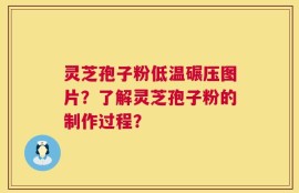 灵芝孢子粉低温碾压图片？了解灵芝孢子粉的制作过程？