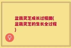 盆栽灵芝成长过程图(盆栽灵芝的生长全过程)