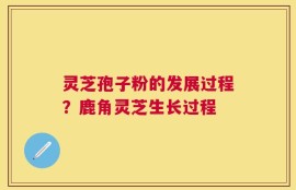 灵芝孢子粉的发展过程？鹿角灵芝生长过程