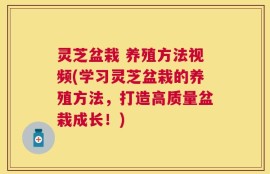 灵芝盆栽 养殖方法视频(学习灵芝盆栽的养殖方法，打造高质量盆栽成长！)
