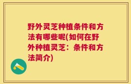野外灵芝种植条件和方法有哪些呢(如何在野外种植灵芝：条件和方法简介)