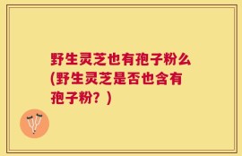 野生灵芝也有孢子粉么(野生灵芝是否也含有孢子粉？)