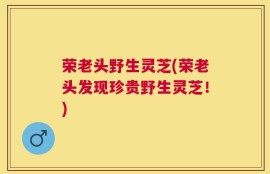荣老头野生灵芝(荣老头发现珍贵野生灵芝！)