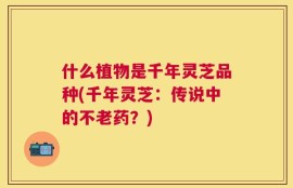 什么植物是千年灵芝品种(千年灵芝：传说中的不老药？)