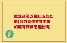 鹿茸菇灵芝猪肚汤怎么做(如何制作营养丰富的鹿茸菇灵芝猪肚汤)