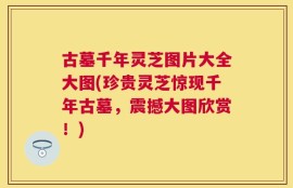 古墓千年灵芝图片大全大图(珍贵灵芝惊现千年古墓，震撼大图欣赏！)