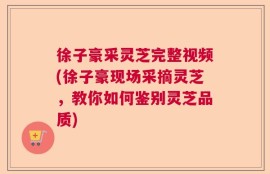 徐子豪采灵芝完整视频(徐子豪现场采摘灵芝，教你如何鉴别灵芝品质)