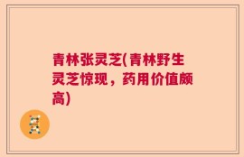 青林张灵芝(青林野生灵芝惊现，药用价值颇高)