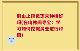 到山上挖灵芝来种植好吗(在山林间寻宝：学习如何挖掘灵芝进行种植)