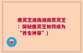 唐灵芝湖南湖南赏灵芝：探秘唐灵芝如何成为“养生神草”)