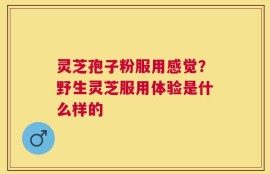 灵芝孢子粉服用感觉？野生灵芝服用体验是什么样的