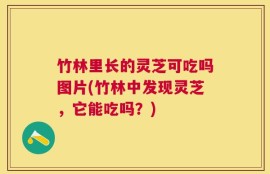 竹林里长的灵芝可吃吗图片(竹林中发现灵芝，它能吃吗？)