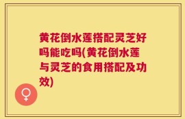 黄花倒水莲搭配灵芝好吗能吃吗(黄花倒水莲与灵芝的食用搭配及功效)