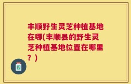 丰顺野生灵芝种植基地在哪(丰顺县的野生灵芝种植基地位置在哪里？)
