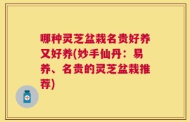 哪种灵芝盆栽名贵好养又好养(妙手仙丹：易养、名贵的灵芝盆栽推荐)