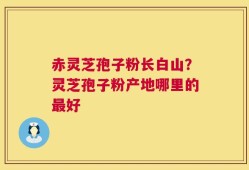 赤灵芝孢子粉长白山？灵芝孢子粉产地哪里的最好