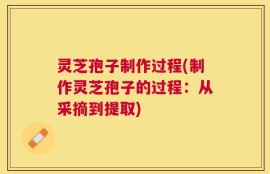 灵芝孢子制作过程(制作灵芝孢子的过程：从采摘到提取)