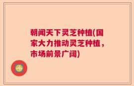 朝闻天下灵芝种植(国家大力推动灵芝种植，市场前景广阔)