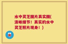 水中灵芝图片真实图(清晰细节！真实的水中灵芝照片现身！)