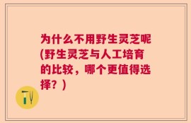 为什么不用野生灵芝呢(野生灵芝与人工培育的比较，哪个更值得选择？)