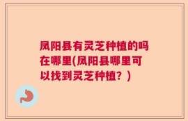 凤阳县有灵芝种植的吗在哪里(凤阳县哪里可以找到灵芝种植？)