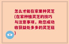 怎么才能在家里种灵芝(在家种植灵芝的技巧与注意事项，助您成功收获益处多多的灵芝菇)